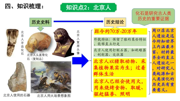 2024年秋季七年级上册历史期中复习课件