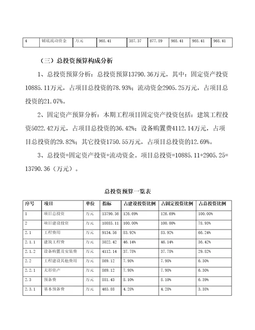 武汉新建头盔项目预算报告