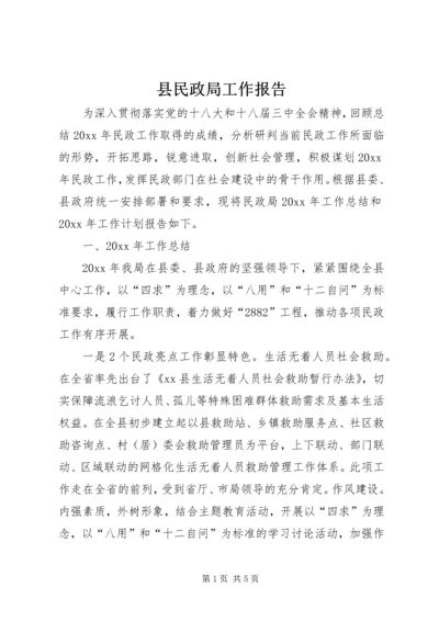 县民政局工作报告 (2).docx