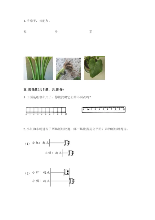 教科版一年级上册科学期末测试卷含完整答案（易错题）.docx