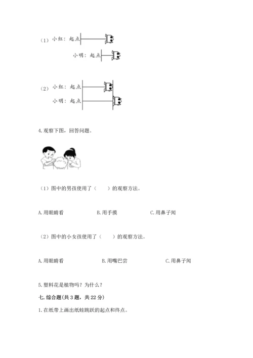 教科版一年级上册科学期末测试卷【名师系列】.docx