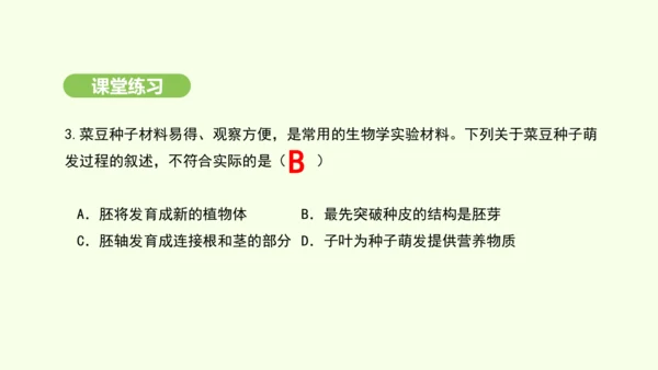 第三单元-第一章-第一节-种子的萌发课件-2024-2025学年七年级生物下学期人教版(2024)(