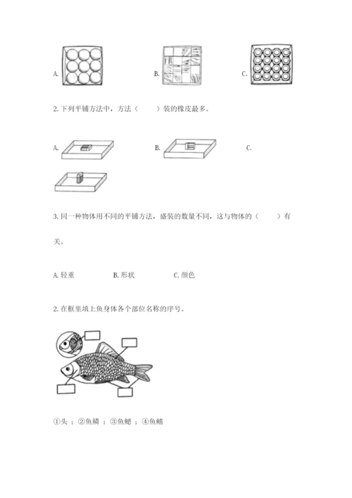 教科版一年级下册科学期末测试卷（全优）word版.docx