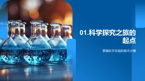 小学生的科学探索