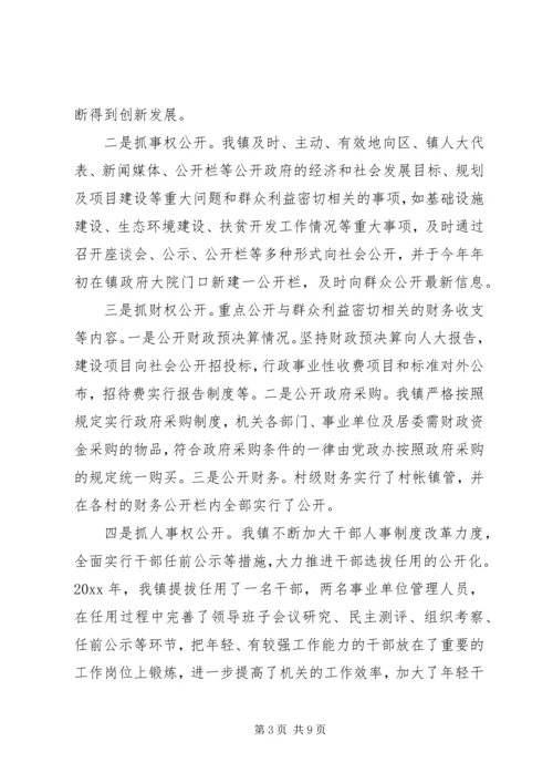 乡镇政务公开工作总结_1.docx