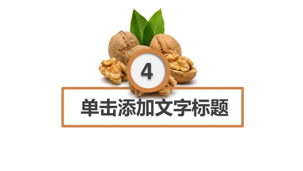 休闲美食美味坚果干果宣传画册PPT模板