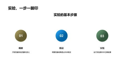 科学实验的探索之旅