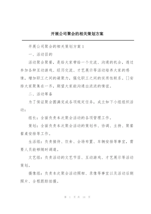 开展公司聚会的相关策划方案.docx