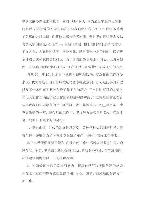 公司新员工试用期工作小结.docx