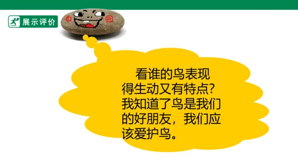 第十九课《我喜欢的鸟》课件