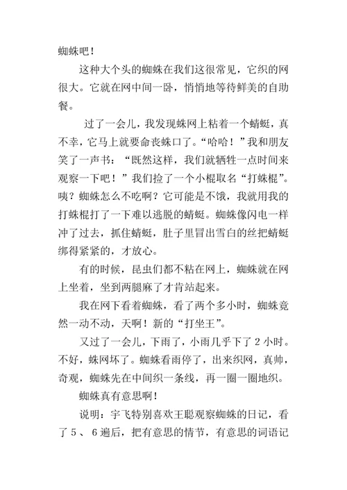 三年级小学生观察昆虫习作：观察蜘蛛