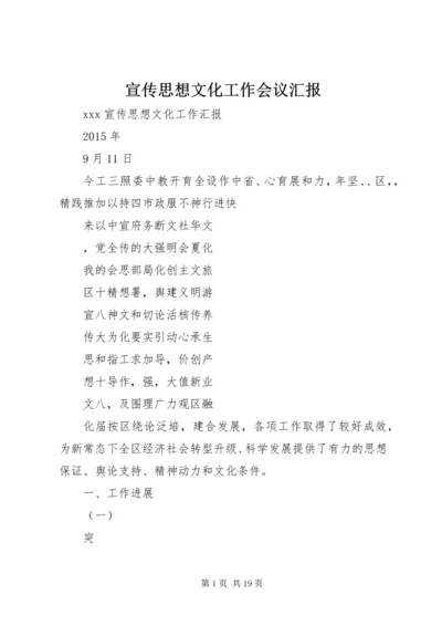 宣传思想文化工作会议汇报 (5).docx