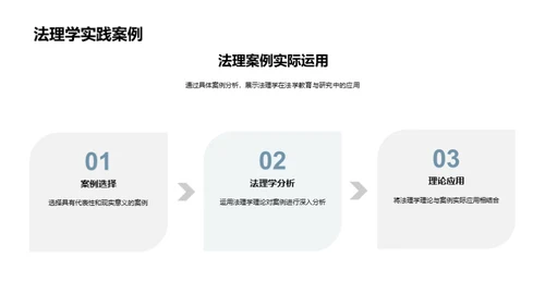 法理学全解析