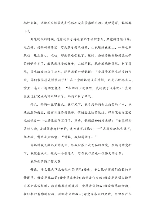 我的母亲高二作文范例