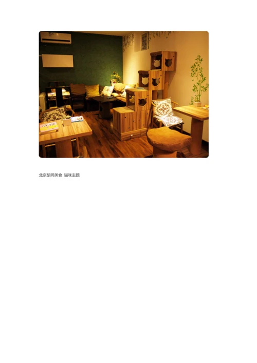 有咖啡可喝的猫咪公社——44号猫咪主题咖啡馆.docx