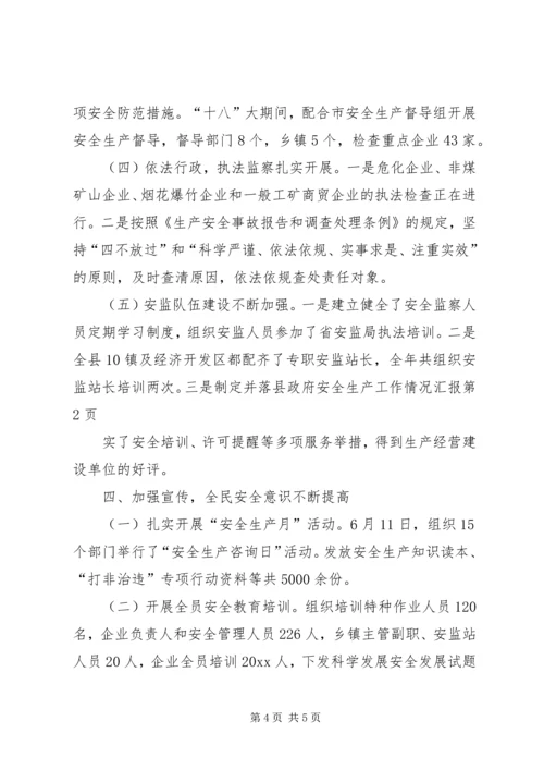 县政府安全生产工作情况汇报.docx