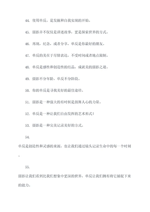 关于单反的俗语或谚语