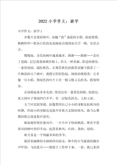 2022小学作文：游学