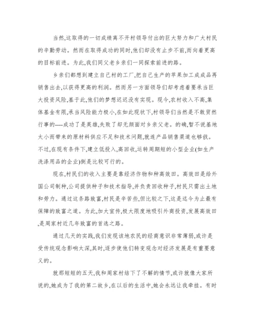 09年大学生三下乡实践论文.docx
