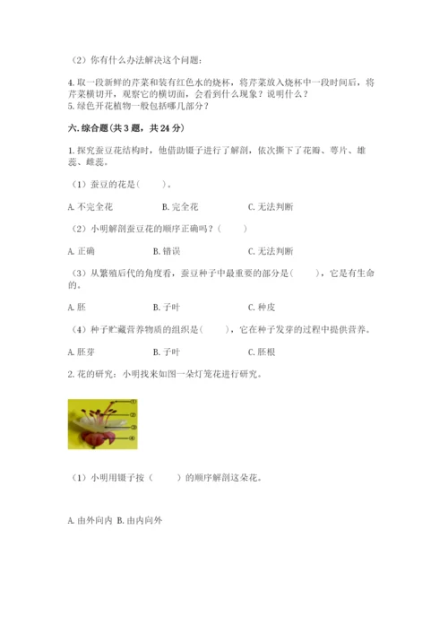 科学四年级下册第一单元《植物的生长变化》测试卷附完整答案【各地真题】.docx