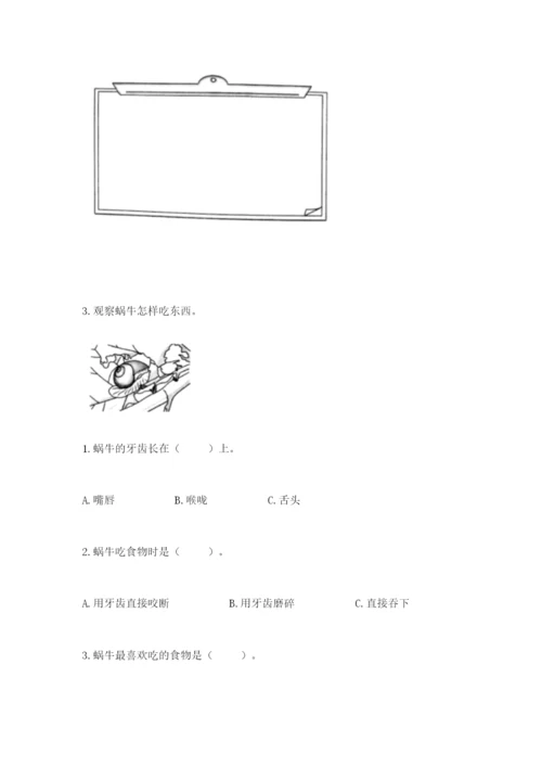 教科版一年级下册科学期末测试卷附参考答案（综合卷）.docx