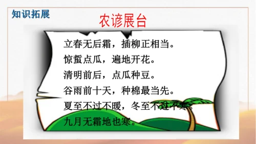 第20课  魏晋南北朝的科技与文化  课件