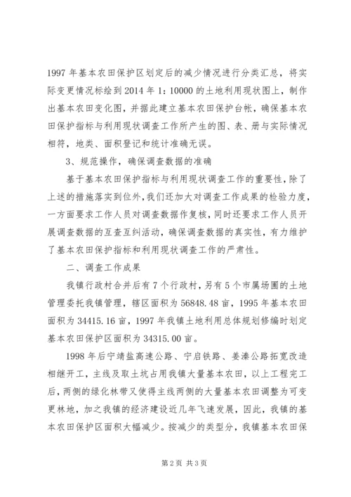 乡镇基本农田保护指标与利用现状调查工作总结调研报告范文.docx