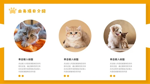 橙色简约宠物行业商业计划书PPT