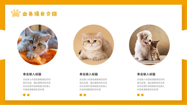 橙色简约宠物行业商业计划书PPT
