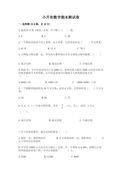 小升初数学期末测试卷【精练】.docx