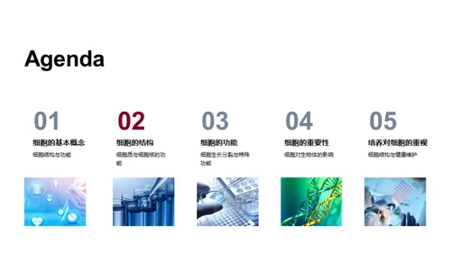 3D风生物医疗教学课件PPT模板