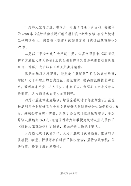 县统计局社会治安综合治理工作报告.docx