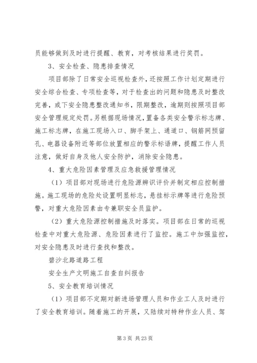 安全大检查自查报告 (3).docx