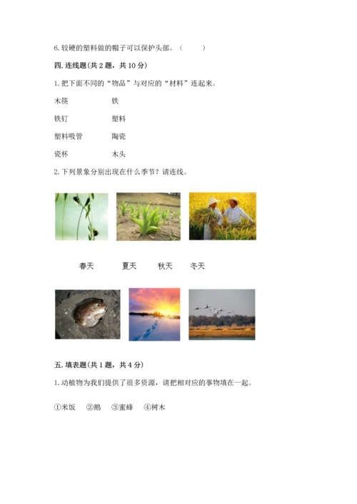 教科版科学二年级上册《期末测试卷》带答案（模拟题）.docx