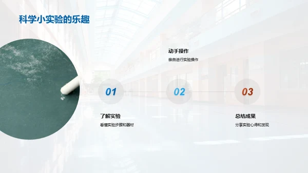 二年级的学习探索