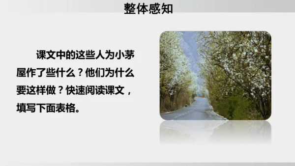 15 驿路梨花 课件