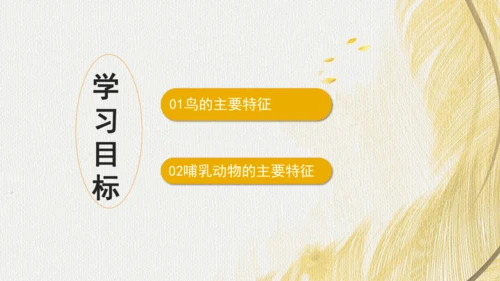 人教版 初中生物七年级上册2.2.2脊椎动物（鸟和哺乳动物）课件(共24张PPT)+ 视频素材