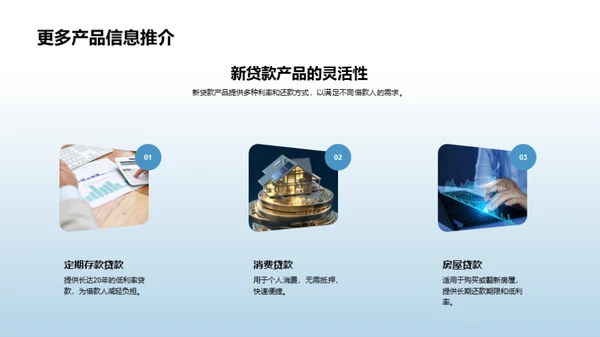 XX银行新贷款产品解读