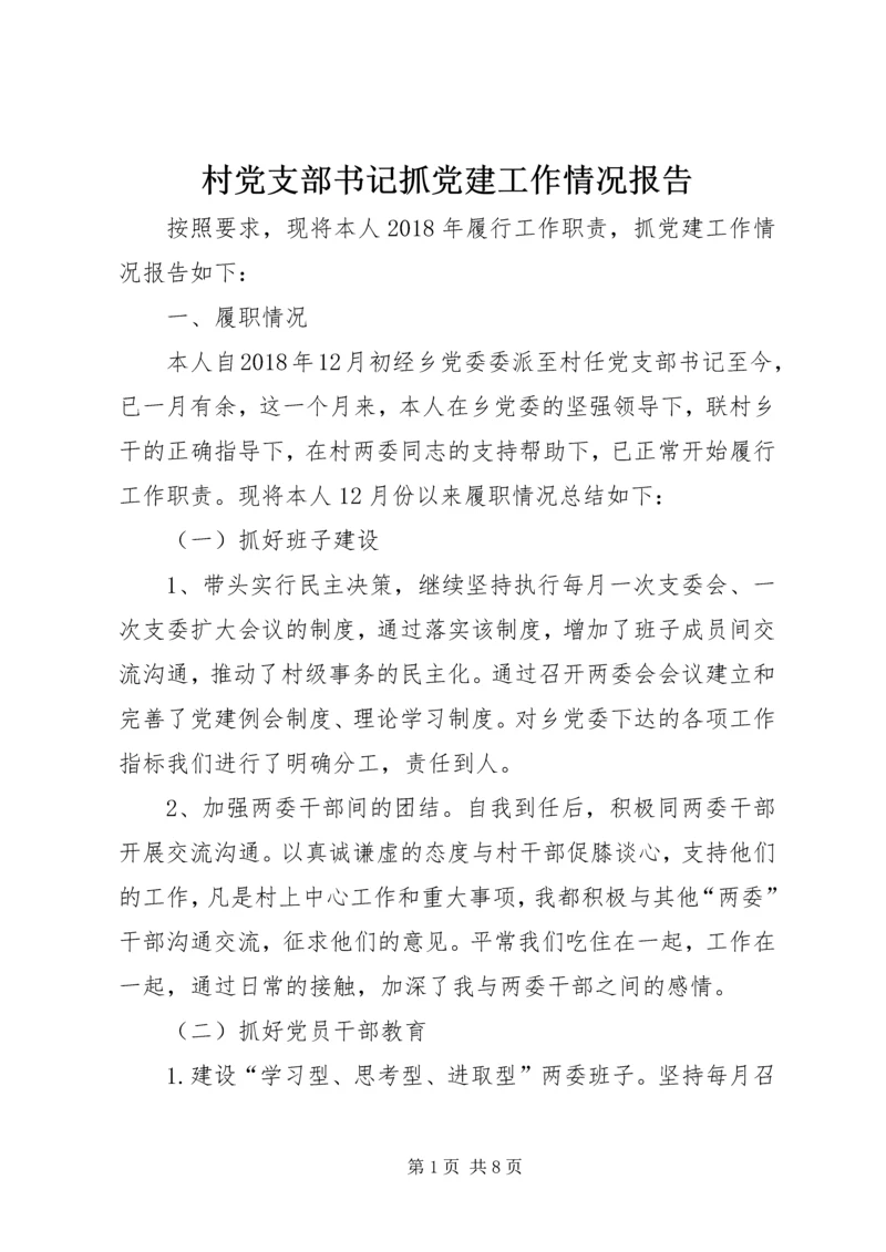 村党支部书记抓党建工作情况报告.docx