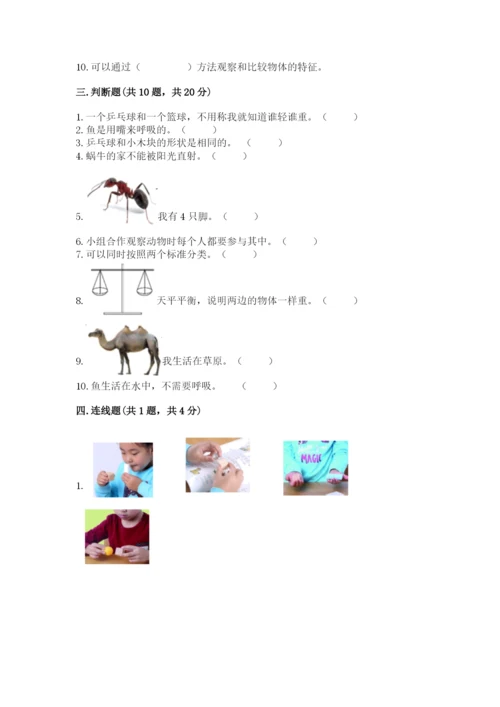 教科版一年级下册科学期末测试卷精品加答案.docx