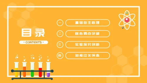 人教版生物课《DNA的复制》通用PPT课件