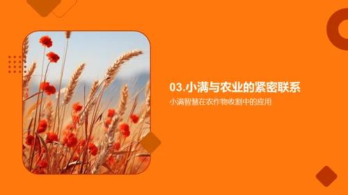 小满节气与农业智慧