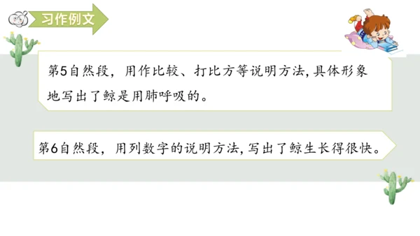 第五单元习作例文鲸
