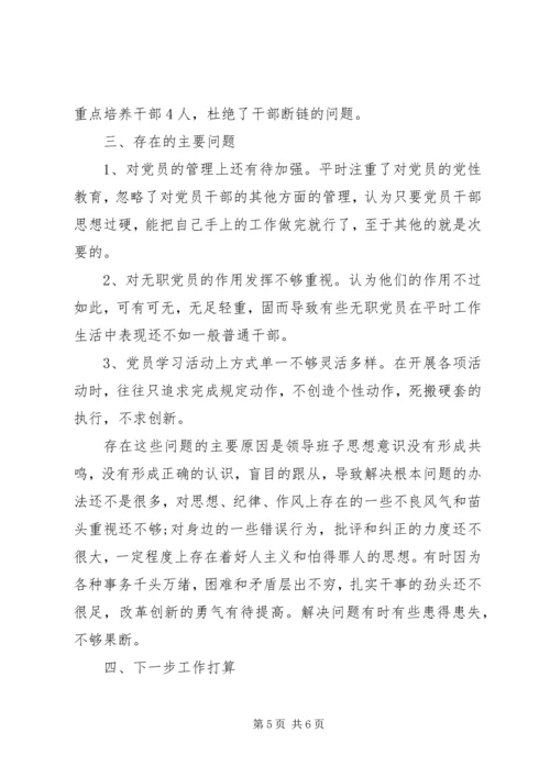 水利局党组工作汇报材料 (2).docx