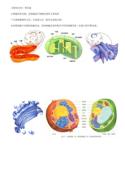 高一生物必修一知识点大全(图文).docx