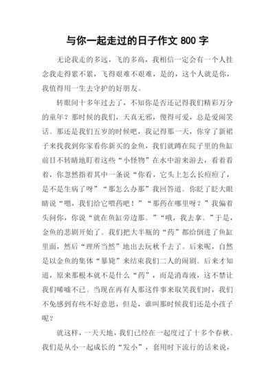 与你一起走过的日子作文800字.docx