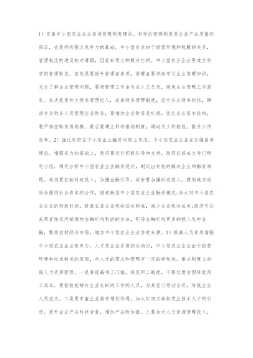 中小型农业企业发展问题及解决措施.docx