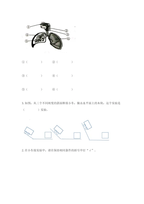 教科版四年级上册科学期末测试卷加解析答案.docx