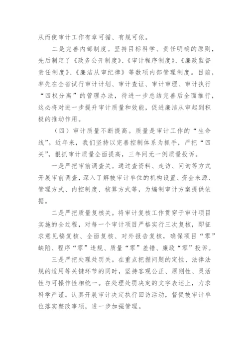 审计业务质量自查报告.docx