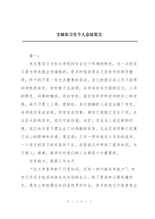 文秘实习生个人总结范文.docx